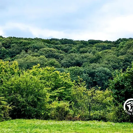 25 Le Vicoin, De Coupeau, 4 Personnes * Saint-Berthevin